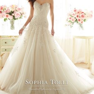 Sophia Tolli Strapless Wedding Gown